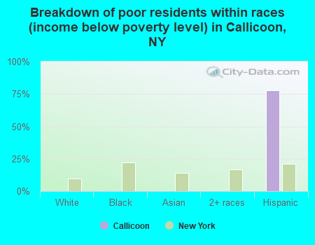 Breakdown of poor residents within races (income below poverty level) in Callicoon, NY