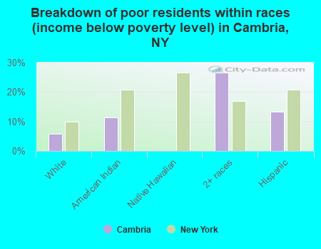 Breakdown of poor residents within races (income below poverty level) in Cambria, NY