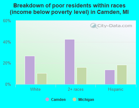 Breakdown of poor residents within races (income below poverty level) in Camden, MI