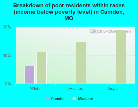 Breakdown of poor residents within races (income below poverty level) in Camden, MO