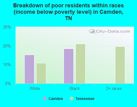 Breakdown of poor residents within races (income below poverty level) in Camden, TN