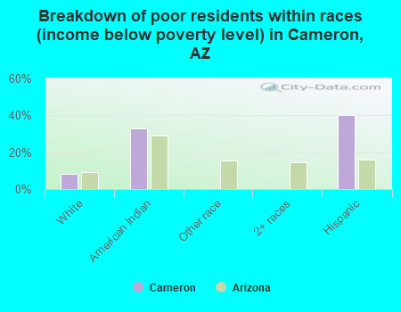 Breakdown of poor residents within races (income below poverty level) in Cameron, AZ