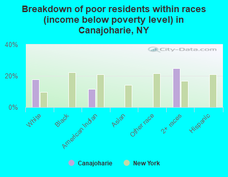 Breakdown of poor residents within races (income below poverty level) in Canajoharie, NY