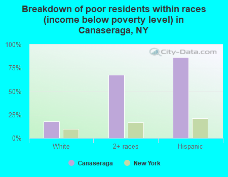 Breakdown of poor residents within races (income below poverty level) in Canaseraga, NY
