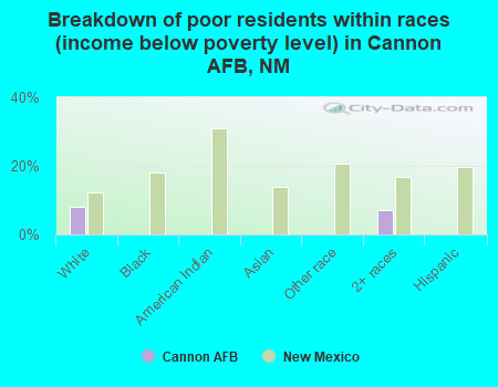 Breakdown of poor residents within races (income below poverty level) in Cannon AFB, NM