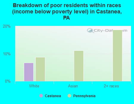 Breakdown of poor residents within races (income below poverty level) in Castanea, PA
