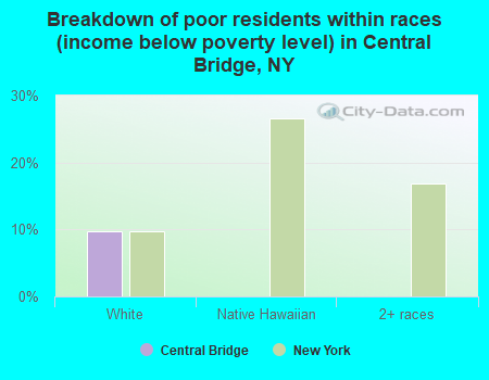 Breakdown of poor residents within races (income below poverty level) in Central Bridge, NY
