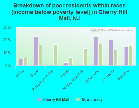 Breakdown of poor residents within races (income below poverty level) in Cherry Hill Mall, NJ