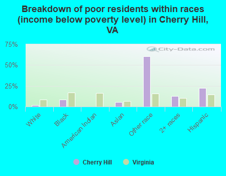 Breakdown of poor residents within races (income below poverty level) in Cherry Hill, VA