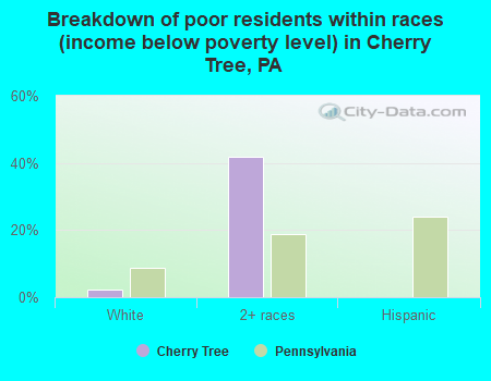 Breakdown of poor residents within races (income below poverty level) in Cherry Tree, PA