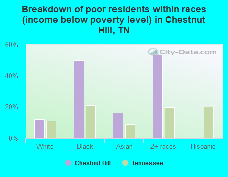 Breakdown of poor residents within races (income below poverty level) in Chestnut Hill, TN