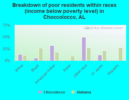 Breakdown of poor residents within races (income below poverty level) in Choccolocco, AL