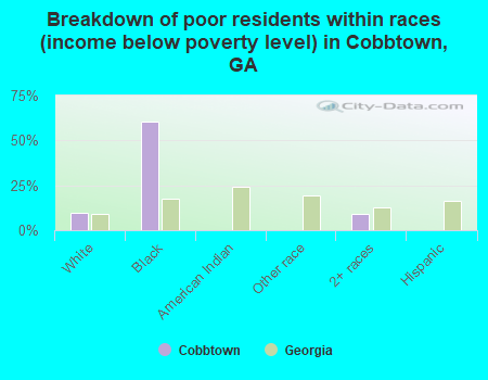 Breakdown of poor residents within races (income below poverty level) in Cobbtown, GA