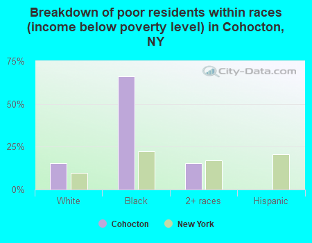 Breakdown of poor residents within races (income below poverty level) in Cohocton, NY