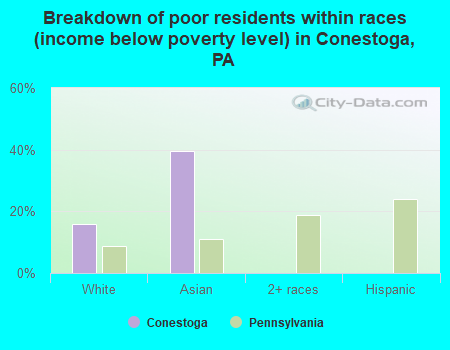 Breakdown of poor residents within races (income below poverty level) in Conestoga, PA