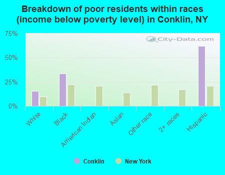 Breakdown of poor residents within races (income below poverty level) in Conklin, NY