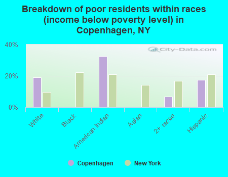 Breakdown of poor residents within races (income below poverty level) in Copenhagen, NY
