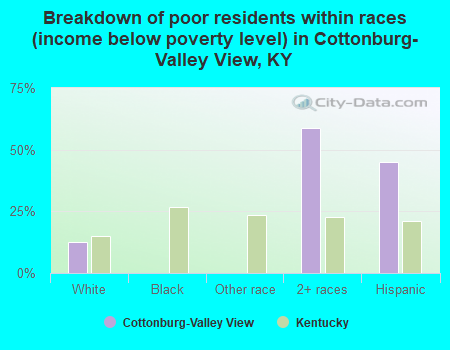 Breakdown of poor residents within races (income below poverty level) in Cottonburg-Valley View, KY