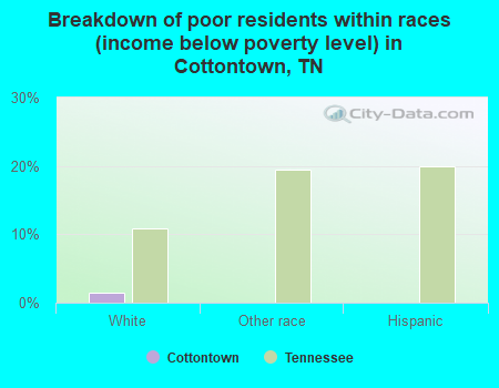 Breakdown of poor residents within races (income below poverty level) in Cottontown, TN