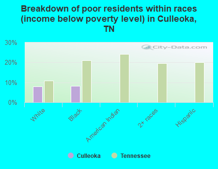 Breakdown of poor residents within races (income below poverty level) in Culleoka, TN