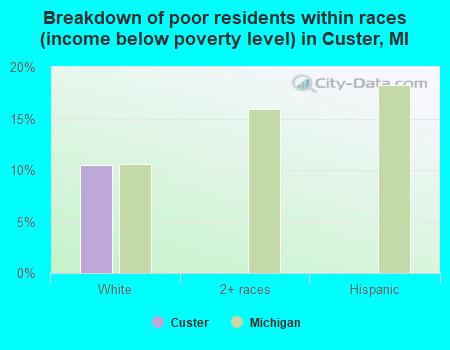 Breakdown of poor residents within races (income below poverty level) in Custer, MI