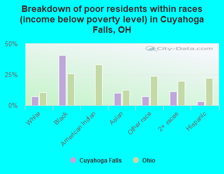 Breakdown of poor residents within races (income below poverty level) in Cuyahoga Falls, OH
