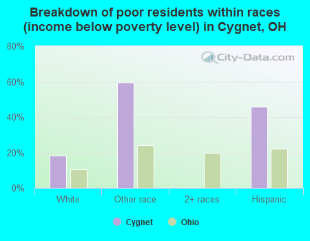 Breakdown of poor residents within races (income below poverty level) in Cygnet, OH