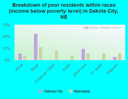 Breakdown of poor residents within races (income below poverty level) in Dakota City, NE