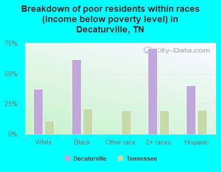 Breakdown of poor residents within races (income below poverty level) in Decaturville, TN