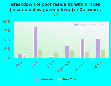 Breakdown of poor residents within races (income below poverty level) in Delaware, NY