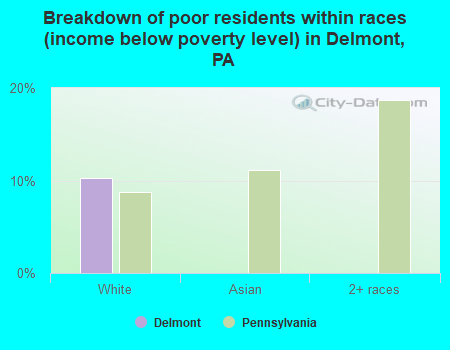 Breakdown of poor residents within races (income below poverty level) in Delmont, PA
