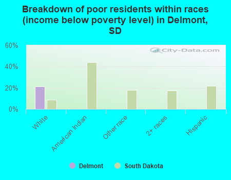 Breakdown of poor residents within races (income below poverty level) in Delmont, SD