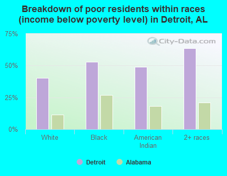 Breakdown of poor residents within races (income below poverty level) in Detroit, AL