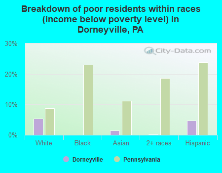 Breakdown of poor residents within races (income below poverty level) in Dorneyville, PA
