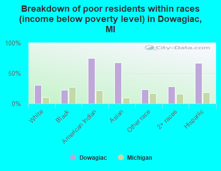 Breakdown of poor residents within races (income below poverty level) in Dowagiac, MI