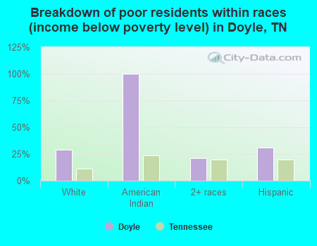 Breakdown of poor residents within races (income below poverty level) in Doyle, TN