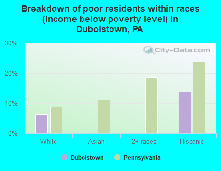 Breakdown of poor residents within races (income below poverty level) in Duboistown, PA