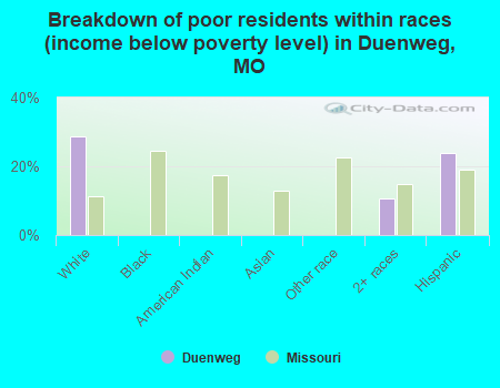 Breakdown of poor residents within races (income below poverty level) in Duenweg, MO