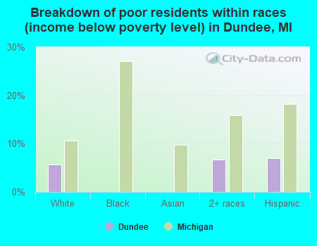 Breakdown of poor residents within races (income below poverty level) in Dundee, MI