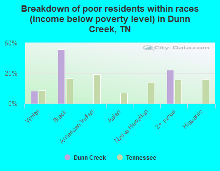 Breakdown of poor residents within races (income below poverty level) in Dunn Creek, TN