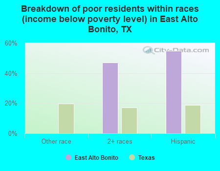 Breakdown of poor residents within races (income below poverty level) in East Alto Bonito, TX