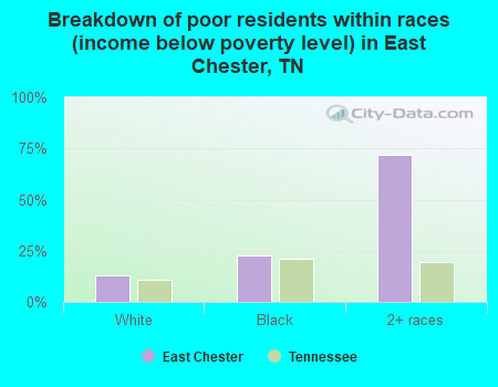 Breakdown of poor residents within races (income below poverty level) in East Chester, TN