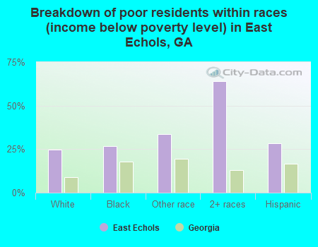 Breakdown of poor residents within races (income below poverty level) in East Echols, GA