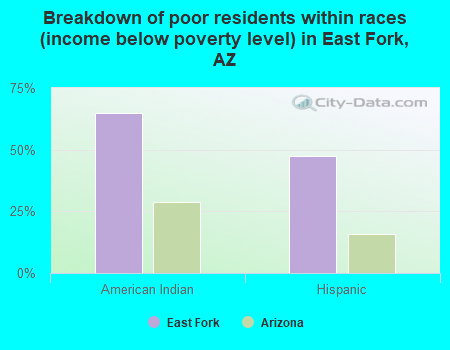 Breakdown of poor residents within races (income below poverty level) in East Fork, AZ