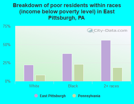 Breakdown of poor residents within races (income below poverty level) in East Pittsburgh, PA