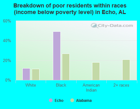 Breakdown of poor residents within races (income below poverty level) in Echo, AL