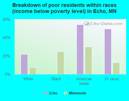 Breakdown of poor residents within races (income below poverty level) in Echo, MN