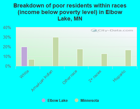 Breakdown of poor residents within races (income below poverty level) in Elbow Lake, MN