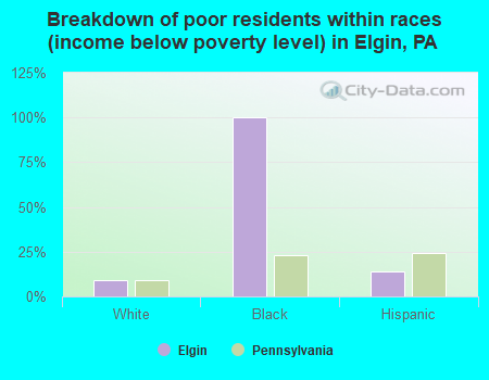 Breakdown of poor residents within races (income below poverty level) in Elgin, PA