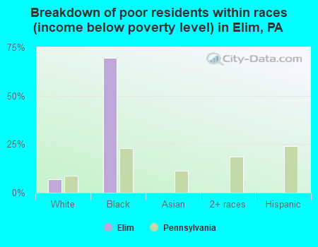 Breakdown of poor residents within races (income below poverty level) in Elim, PA